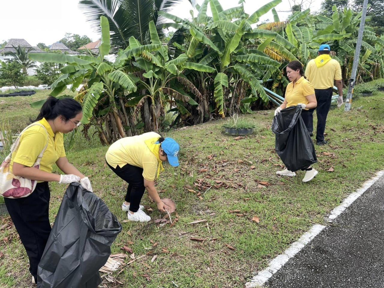 ภาพประกอบที่ 3