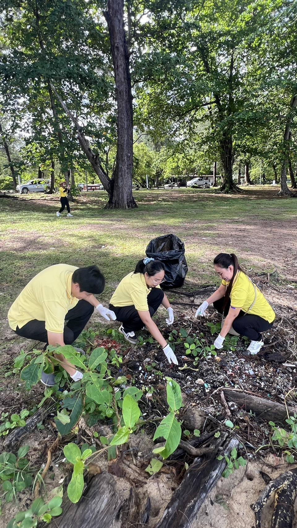 ภาพประกอบที่ 5