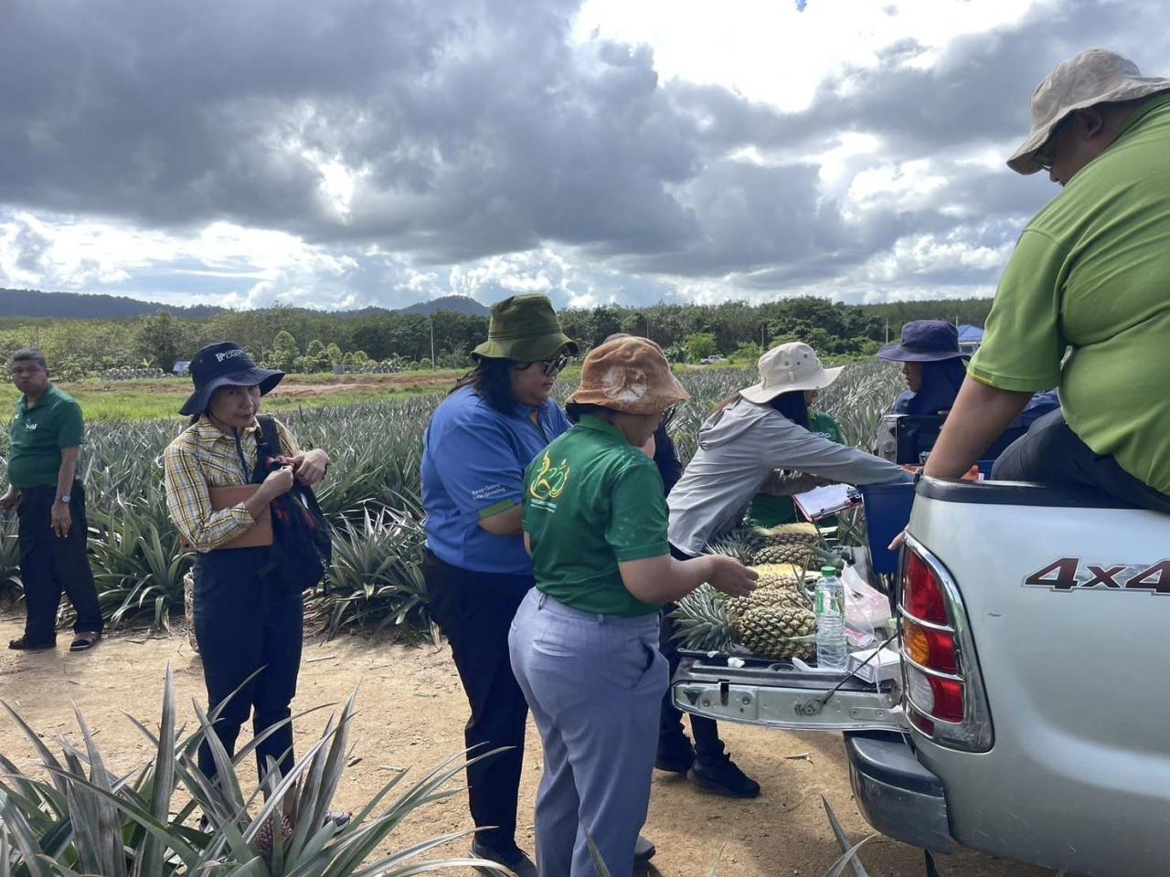 ภาพประกอบที่ 0