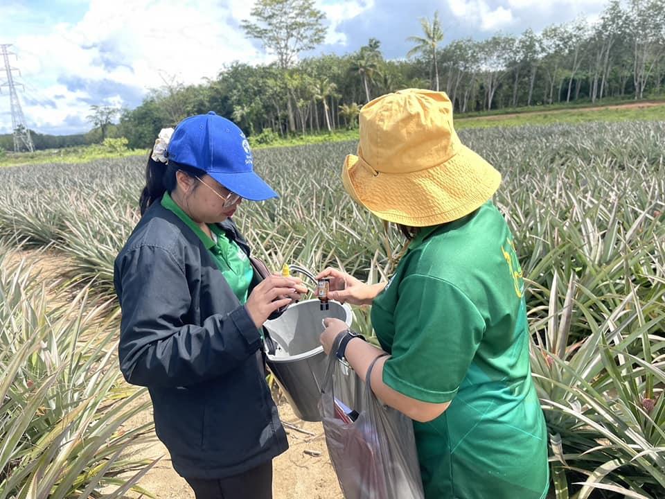 ภาพประกอบที่ 2