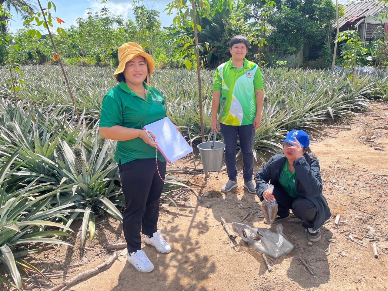 ภาพประกอบที่ 3