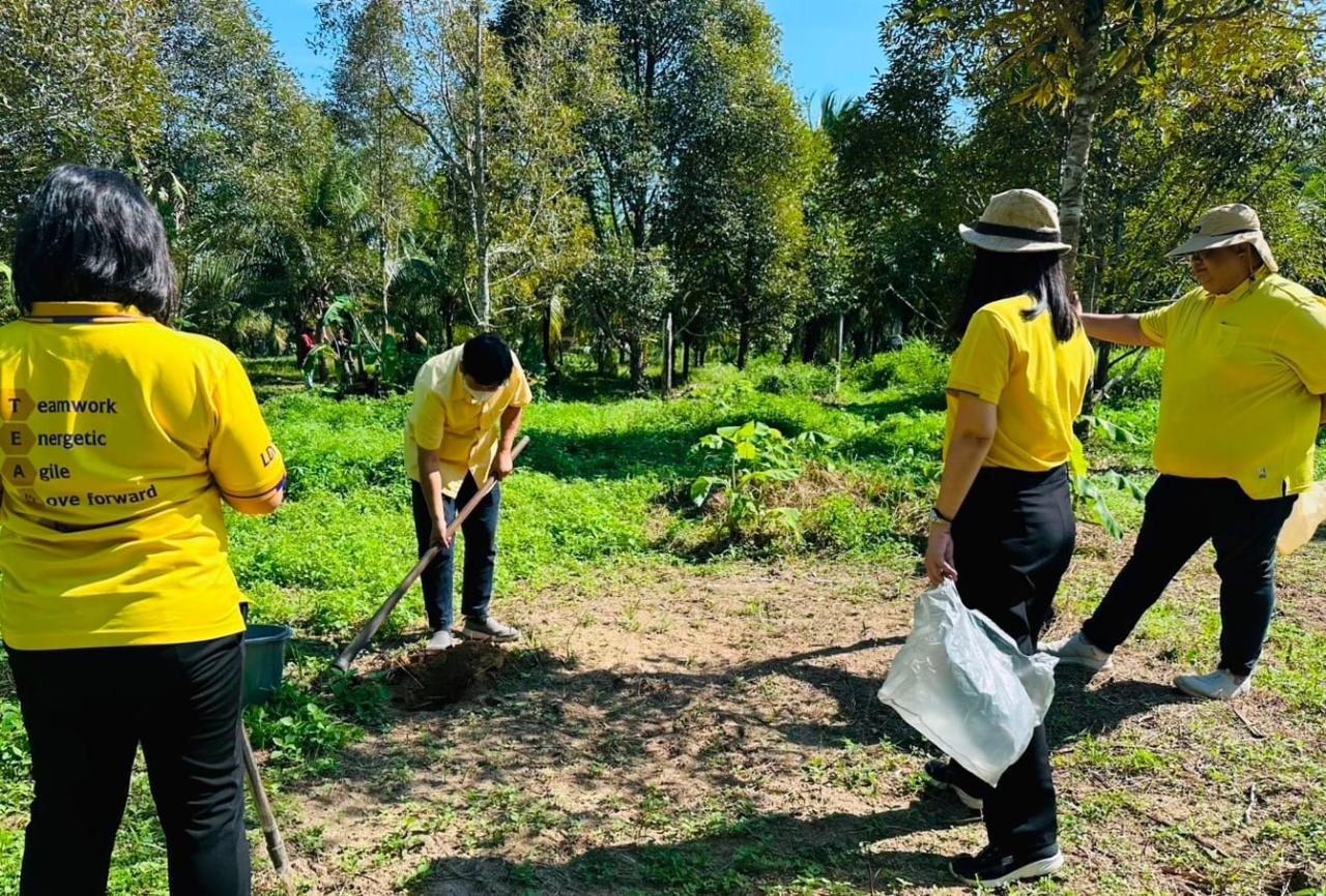 ภาพประกอบที่ 0