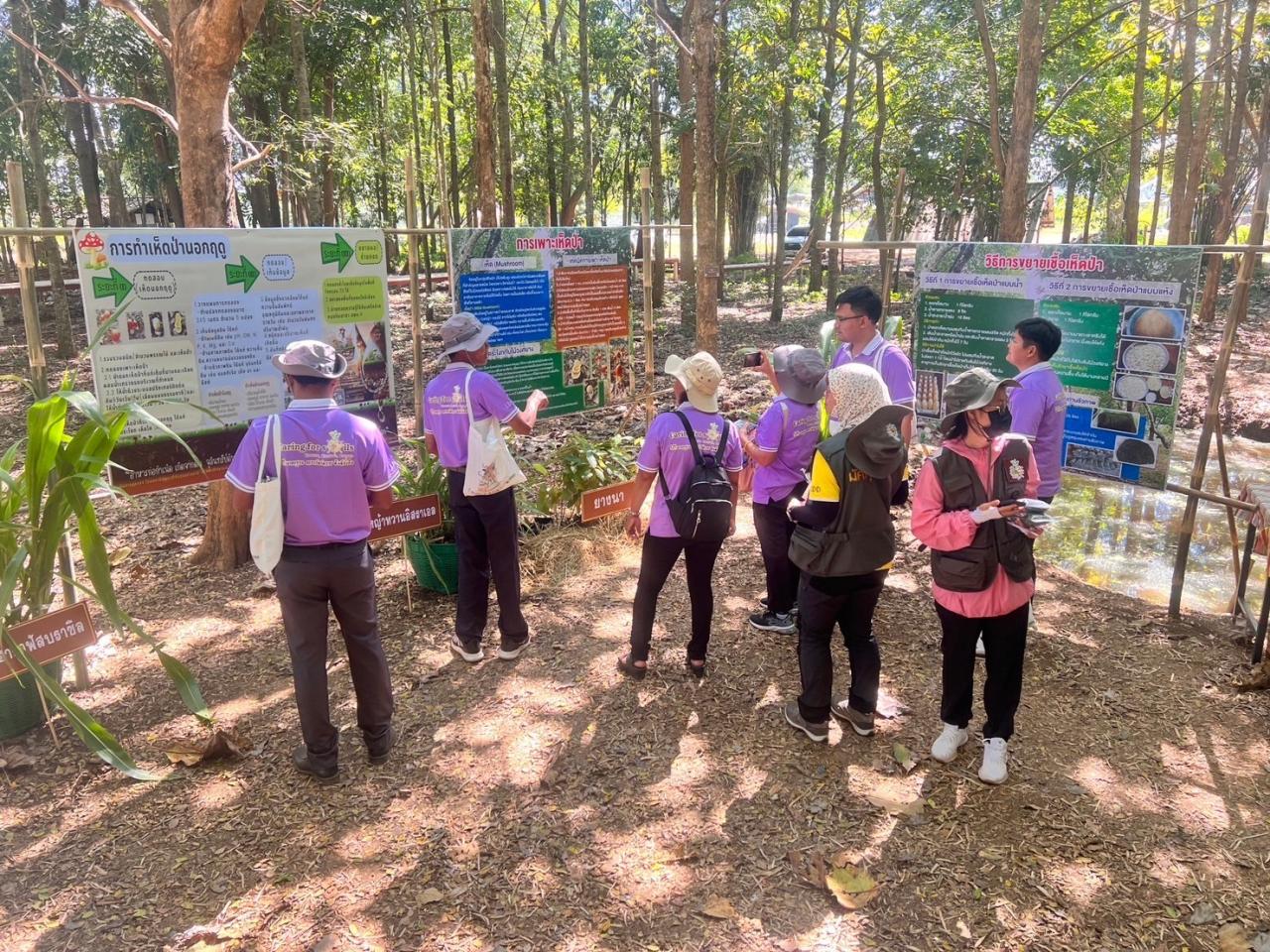 ภาพประกอบที่ 3