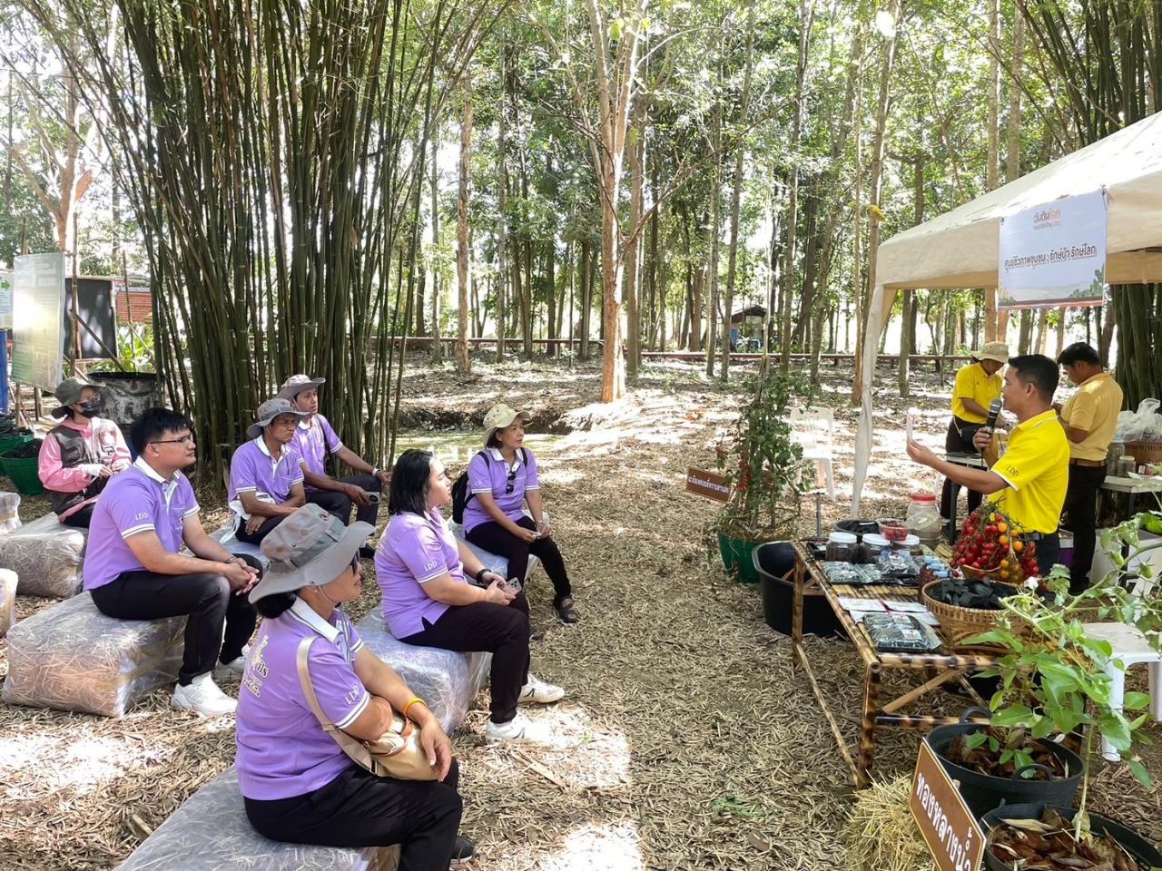 ภาพประกอบที่ 7