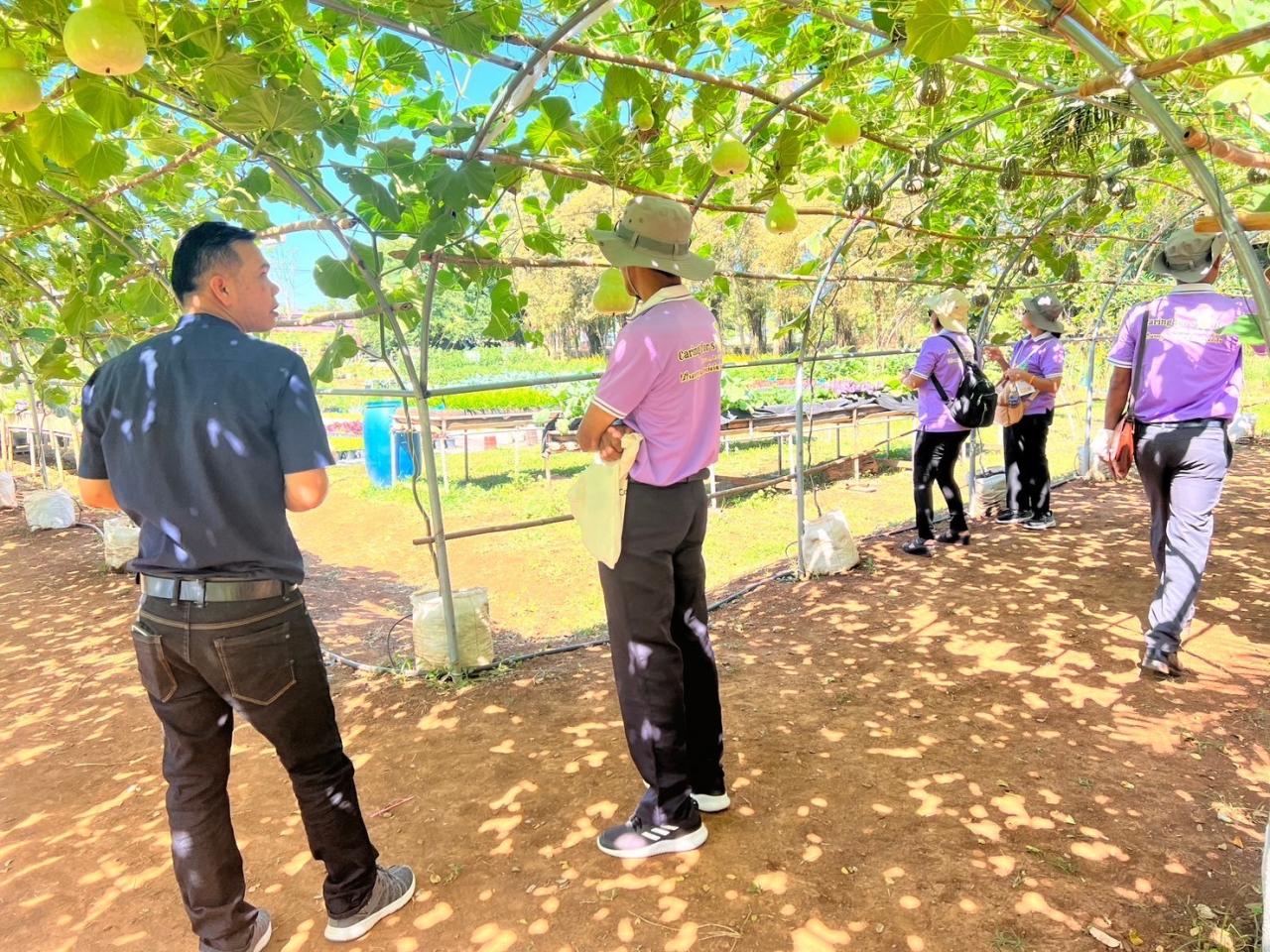 ภาพประกอบที่ 10