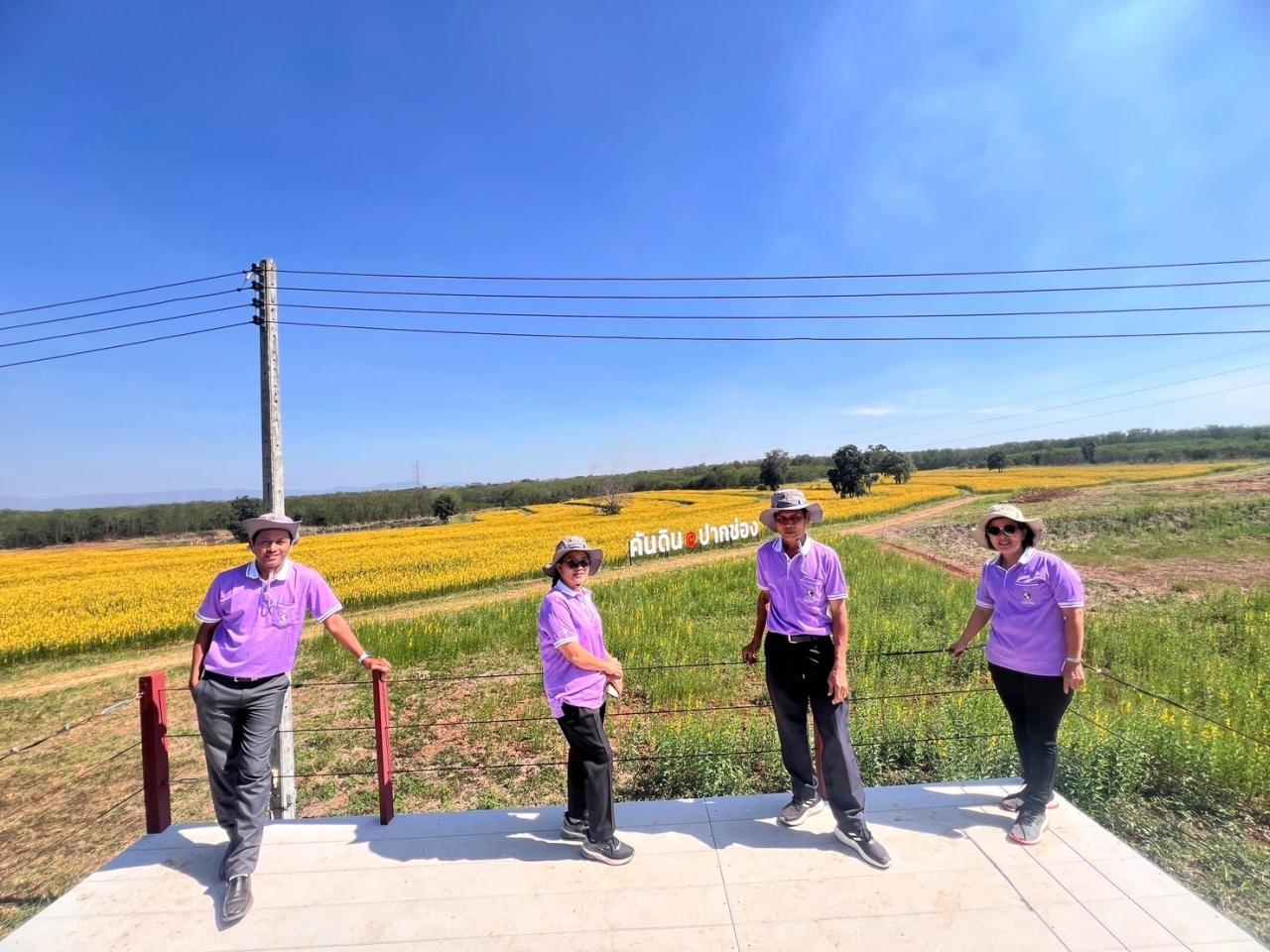 ภาพประกอบที่ 11