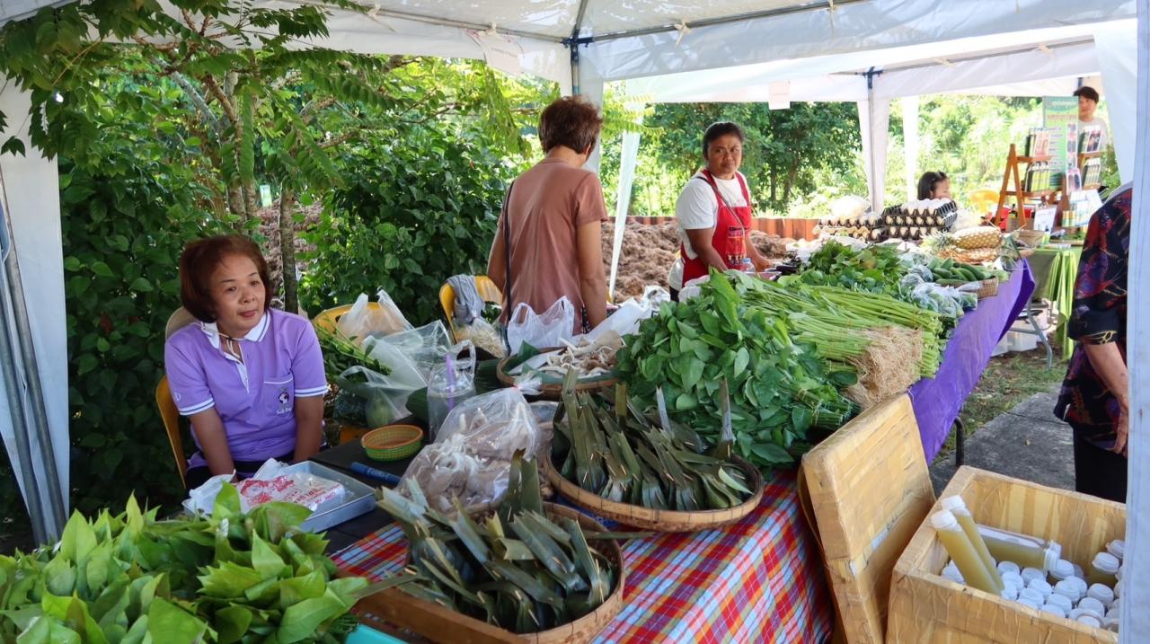 ภาพประกอบที่ 9