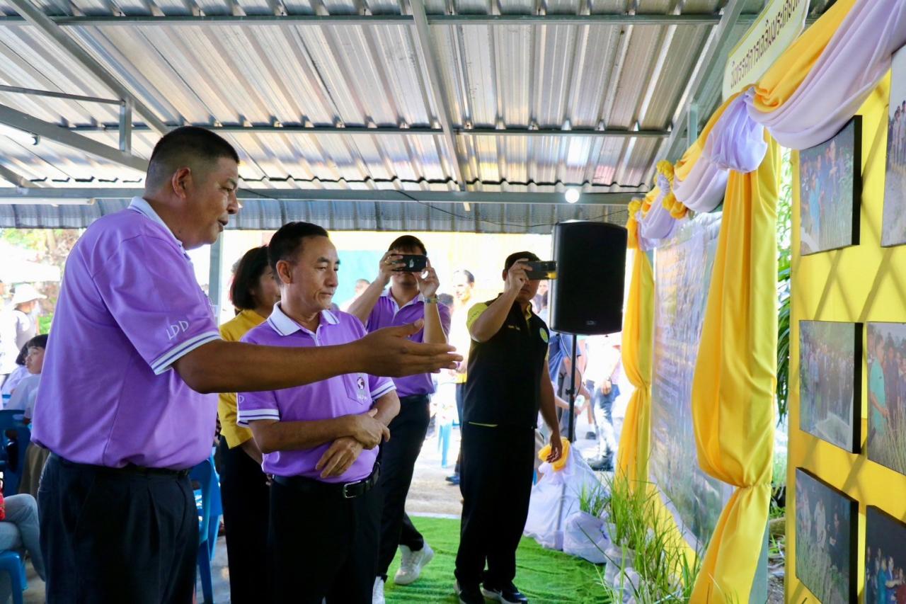 ภาพประกอบที่ 12