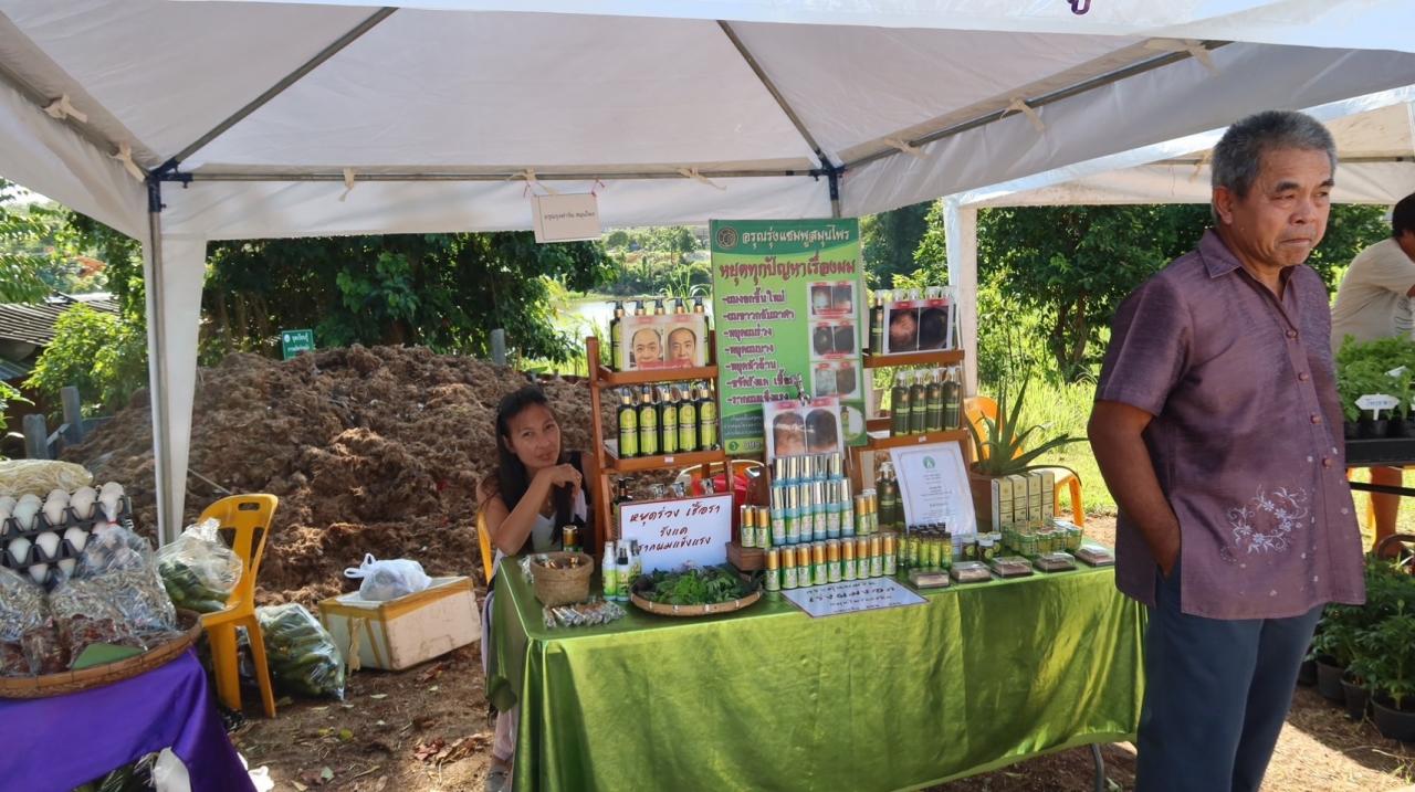 ภาพประกอบที่ 17