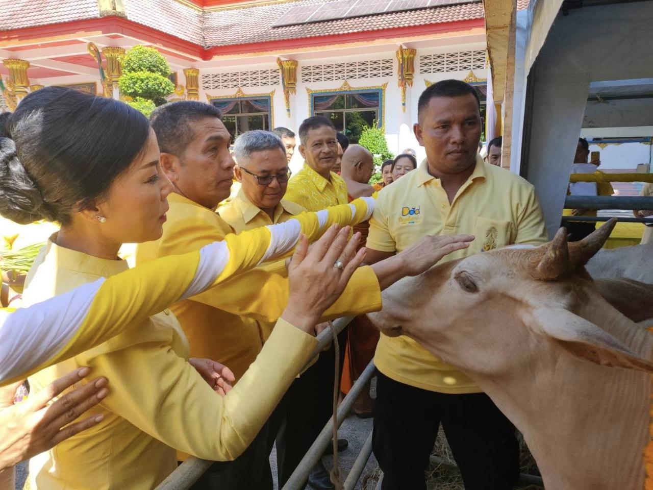 ภาพประกอบที่ 9