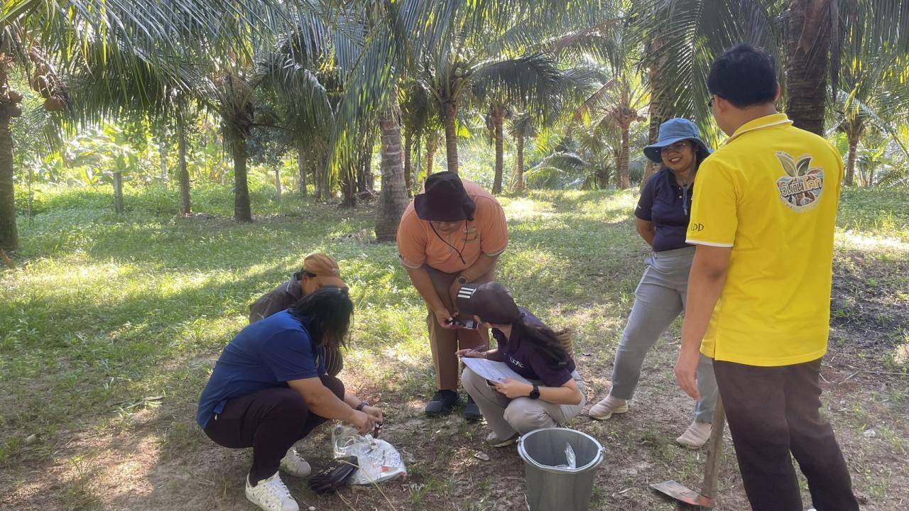 ภาพประกอบที่ 3