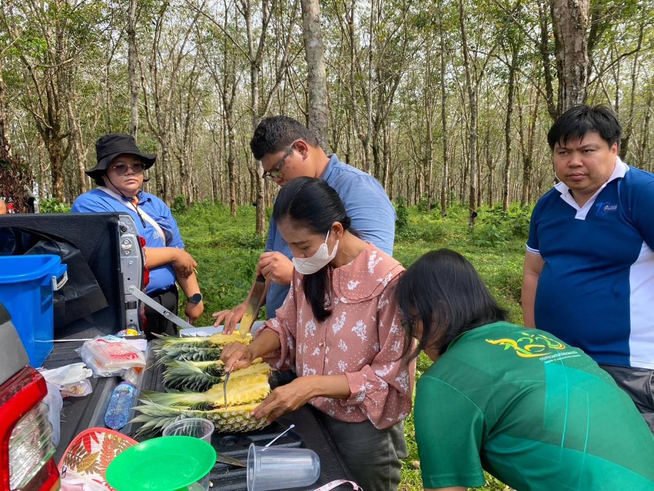 ภาพประกอบที่ 0