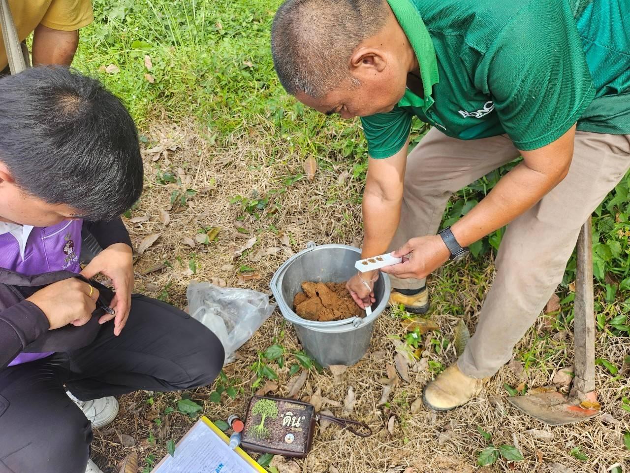 ภาพประกอบที่ 2
