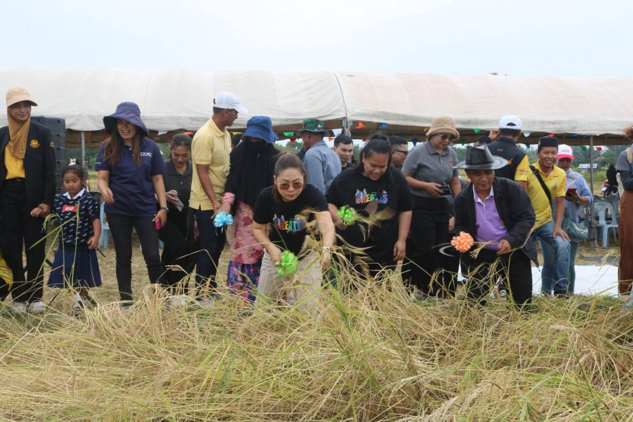 ภาพประกอบที่ 1