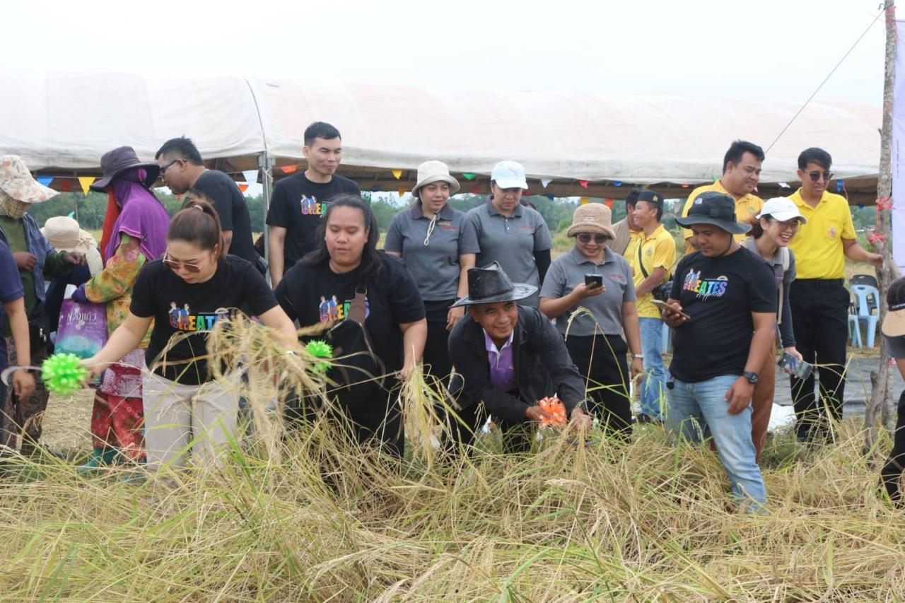 ภาพประกอบที่ 4