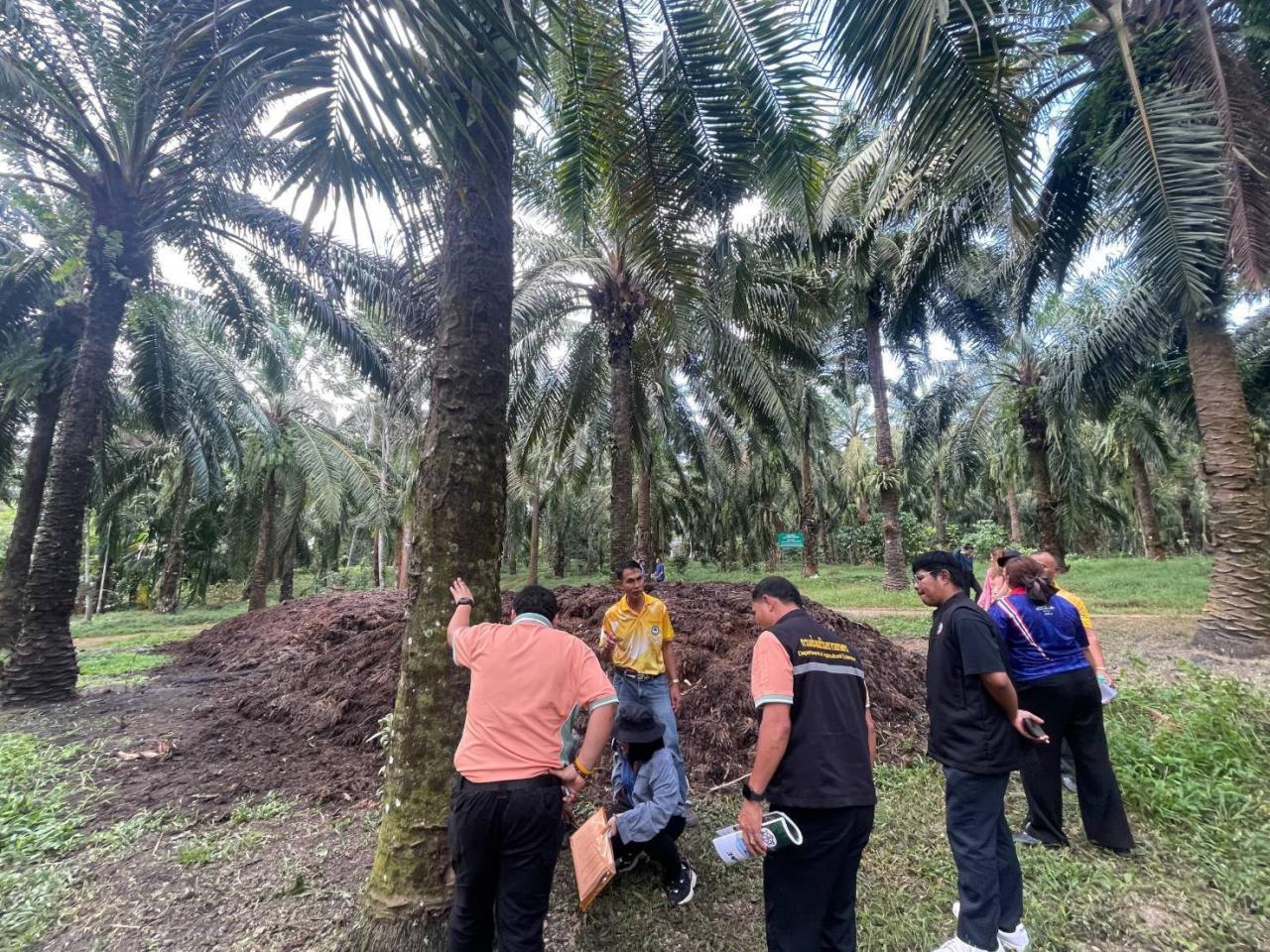 ภาพประกอบที่ 3