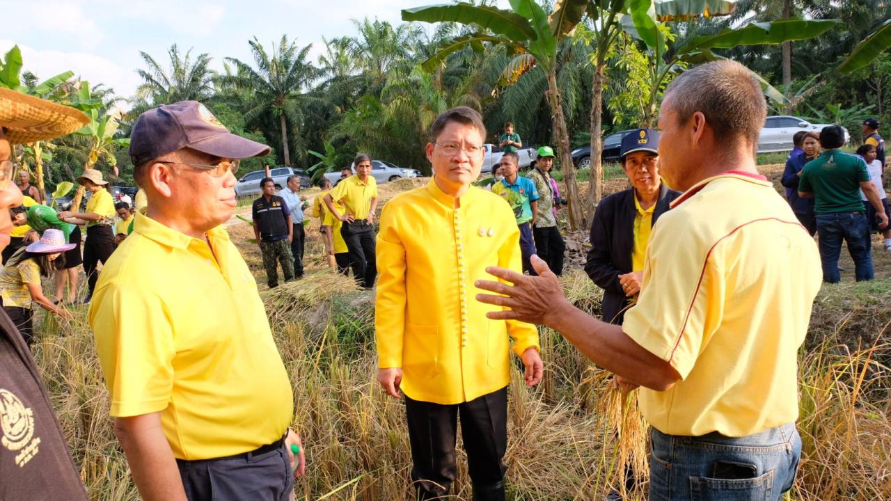 ภาพประกอบที่ 5