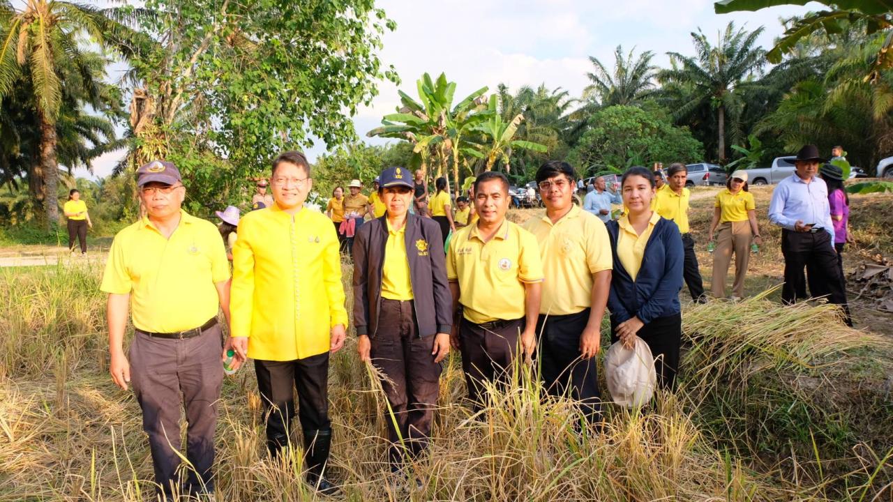 ภาพประกอบที่ 6