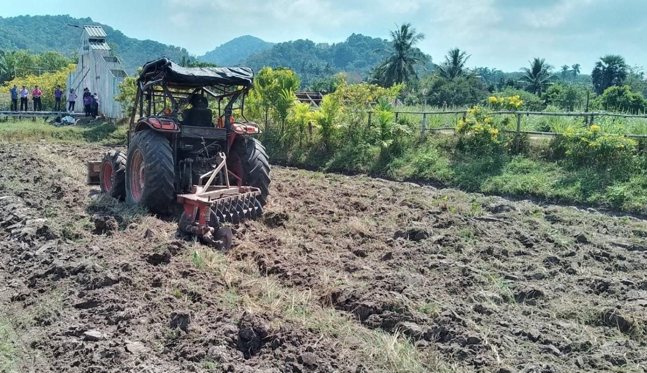 ภาพประกอบที่ 11