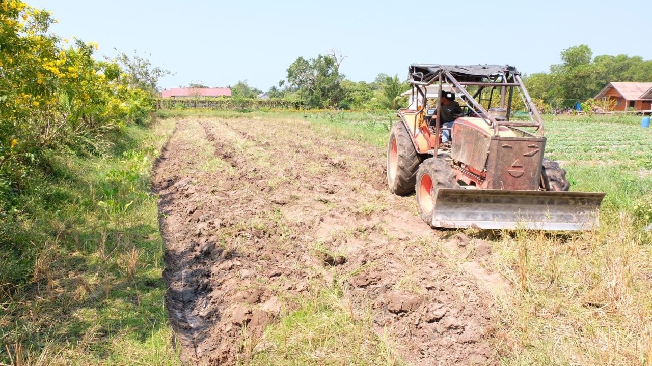 ภาพประกอบที่ 12
