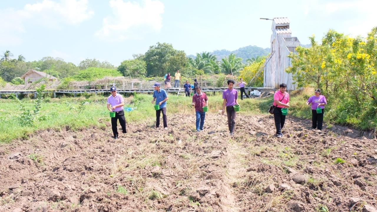 ภาพประกอบที่ 16