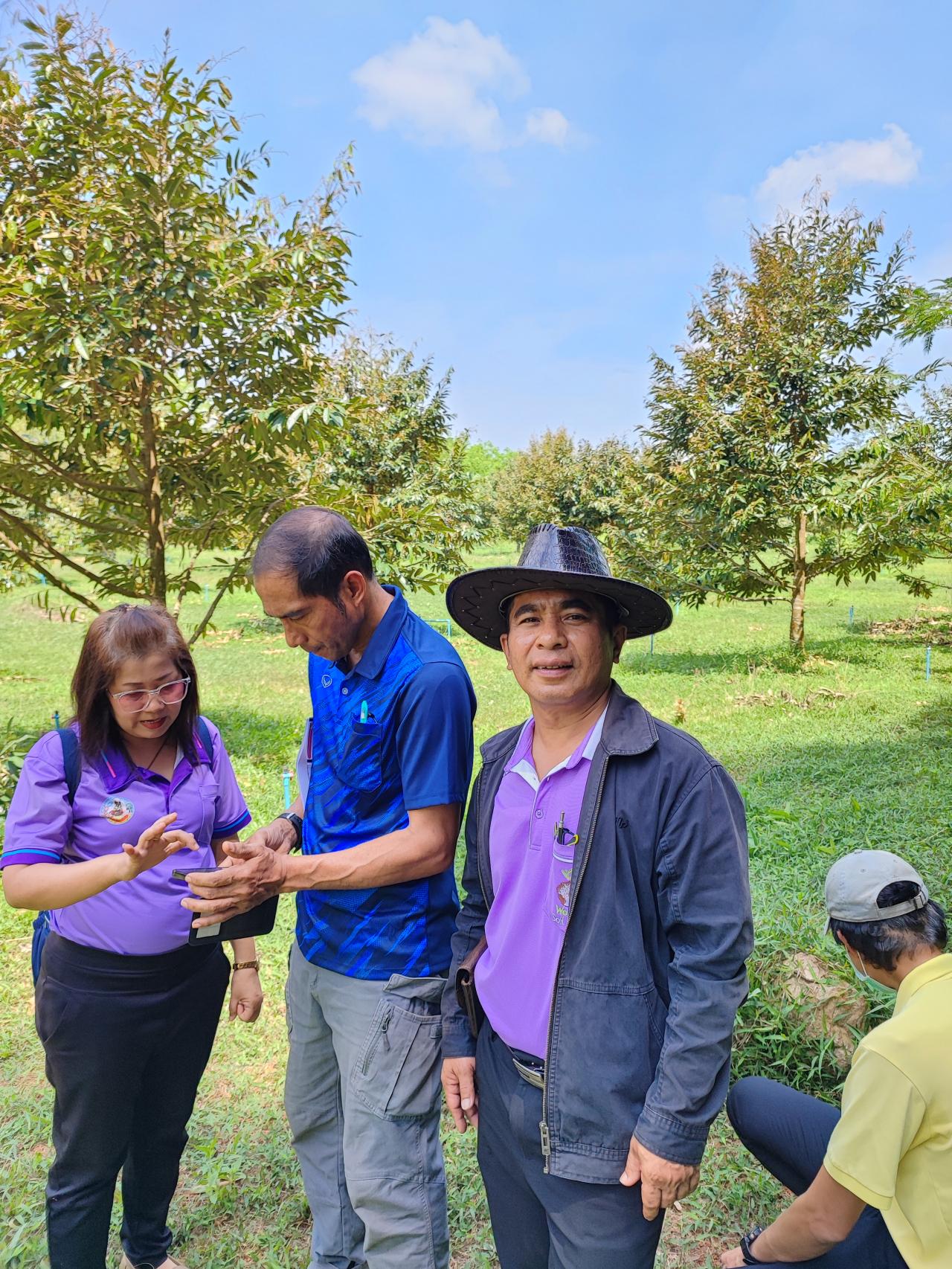ภาพประกอบที่ 4