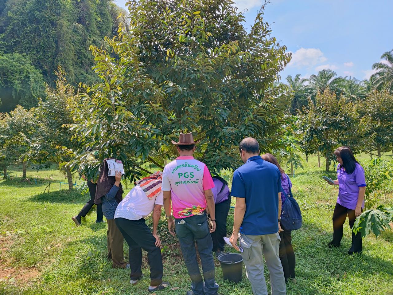 ภาพประกอบที่ 1