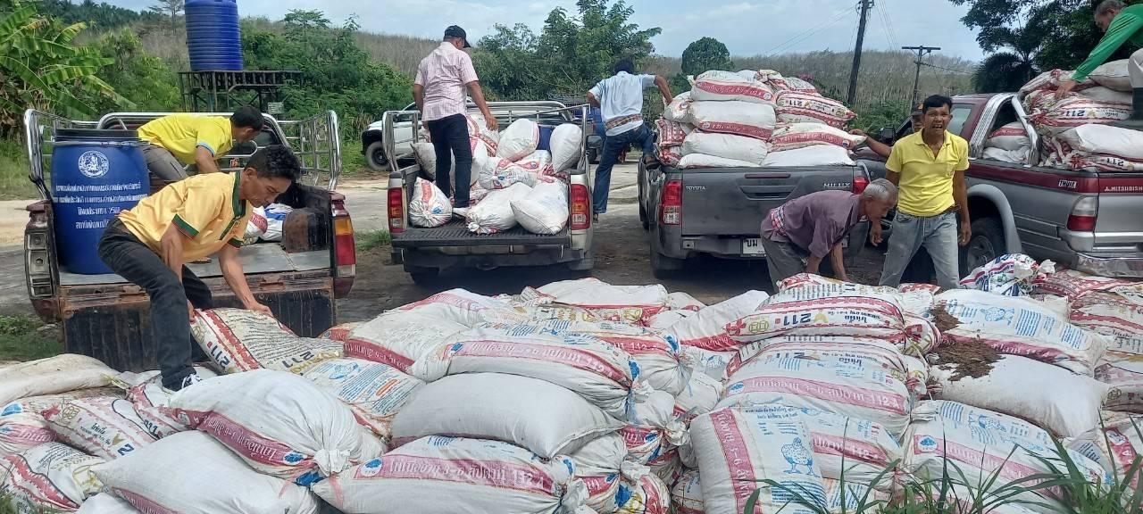 ภาพประกอบที่ 5