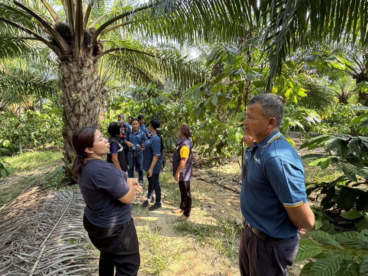 ภาพประกอบที่ 10