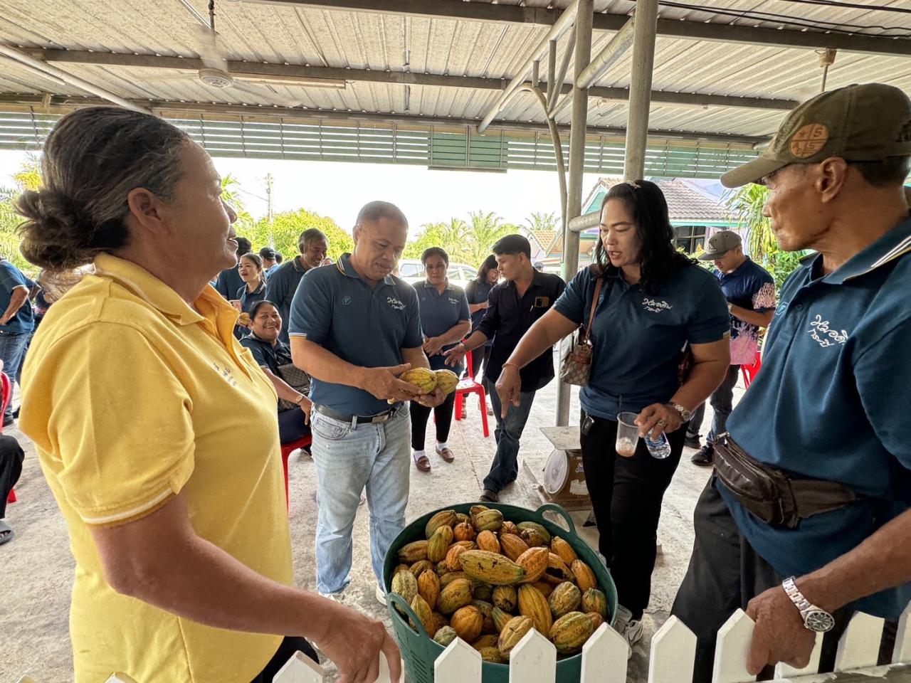 ภาพประกอบที่ 11