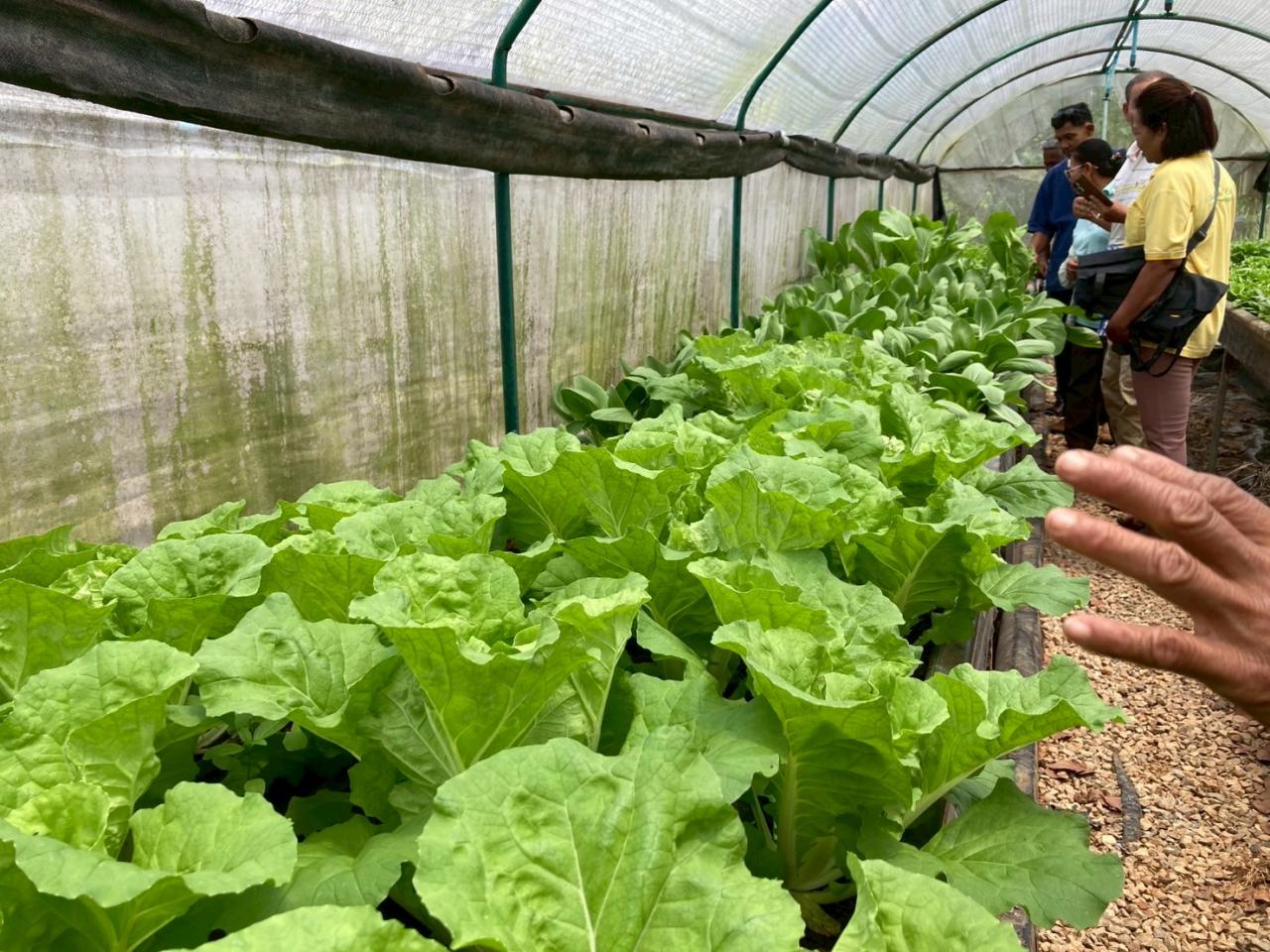 ภาพประกอบที่ 6