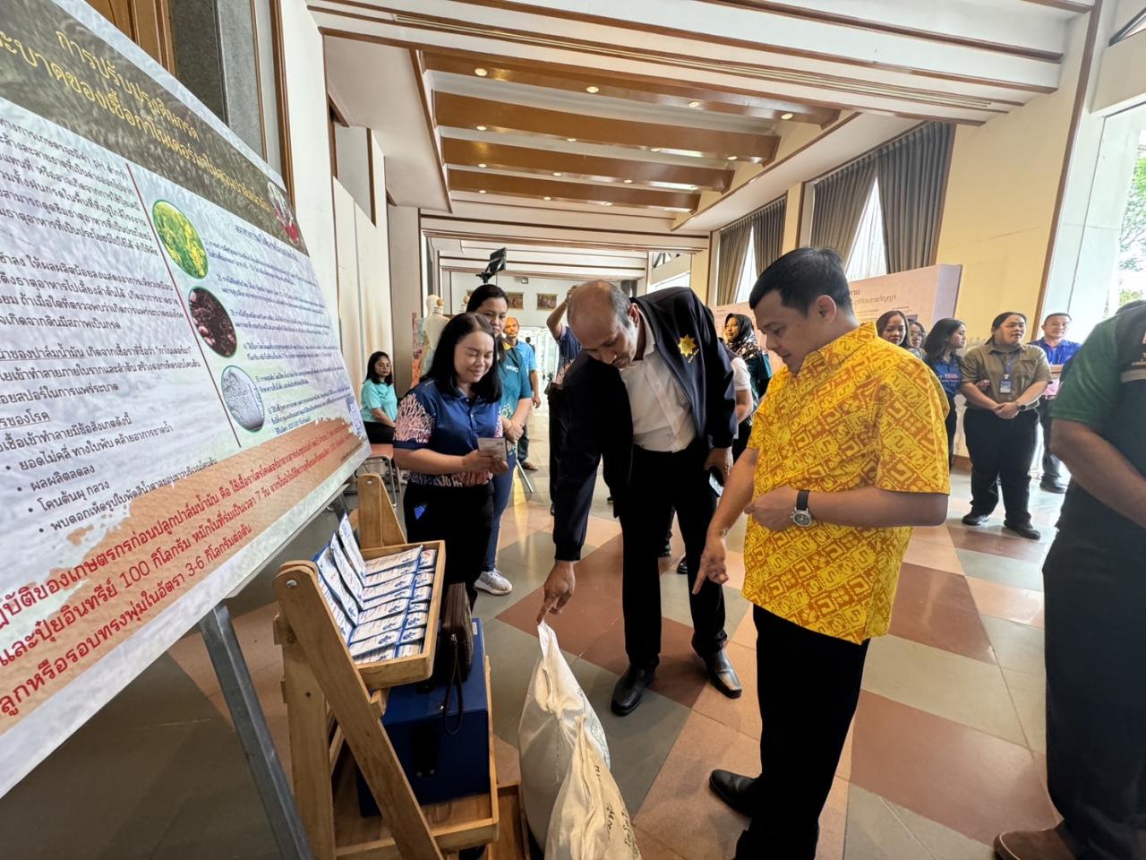 ภาพประกอบที่ 4