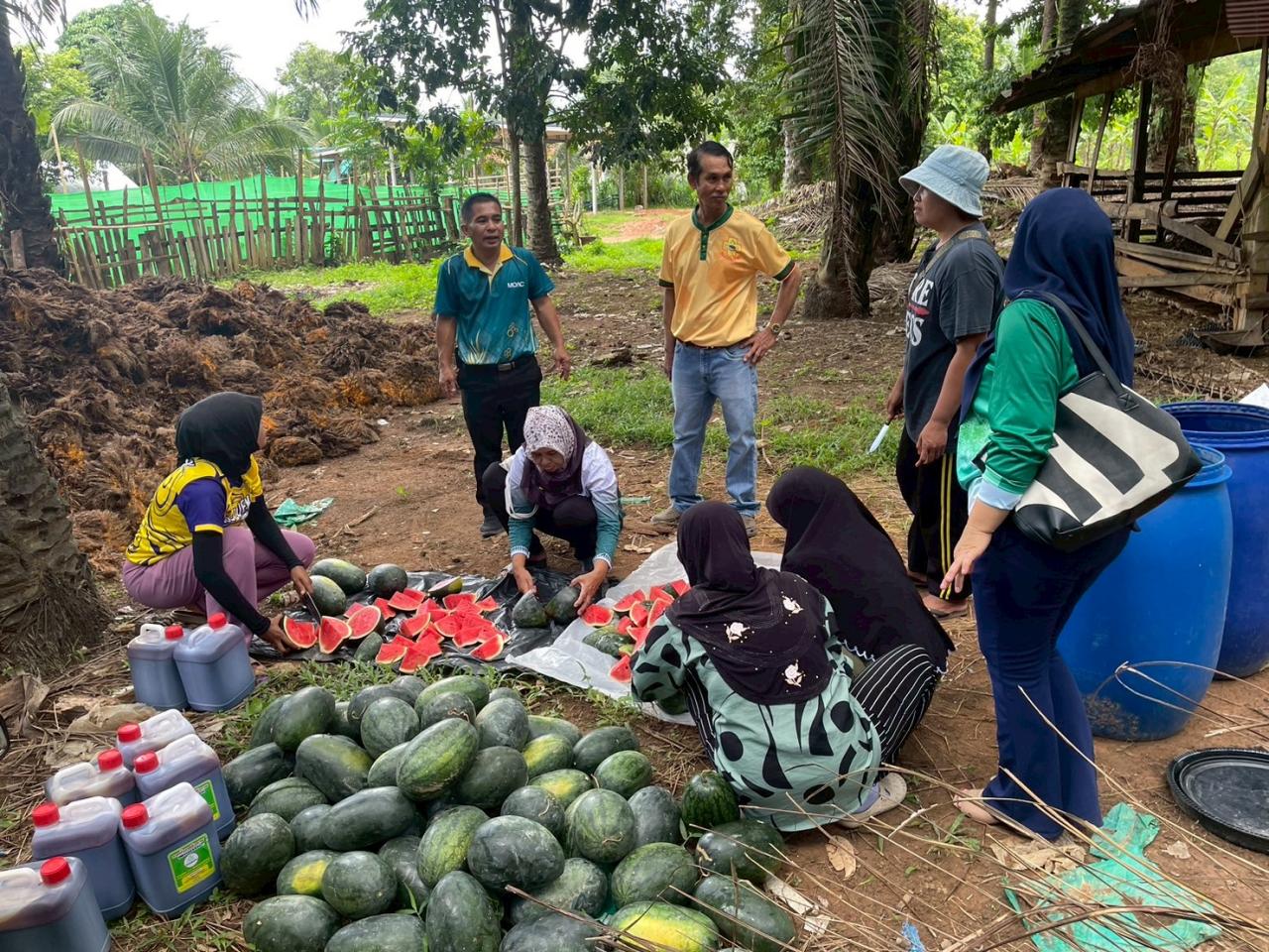 ภาพประกอบที่ 5