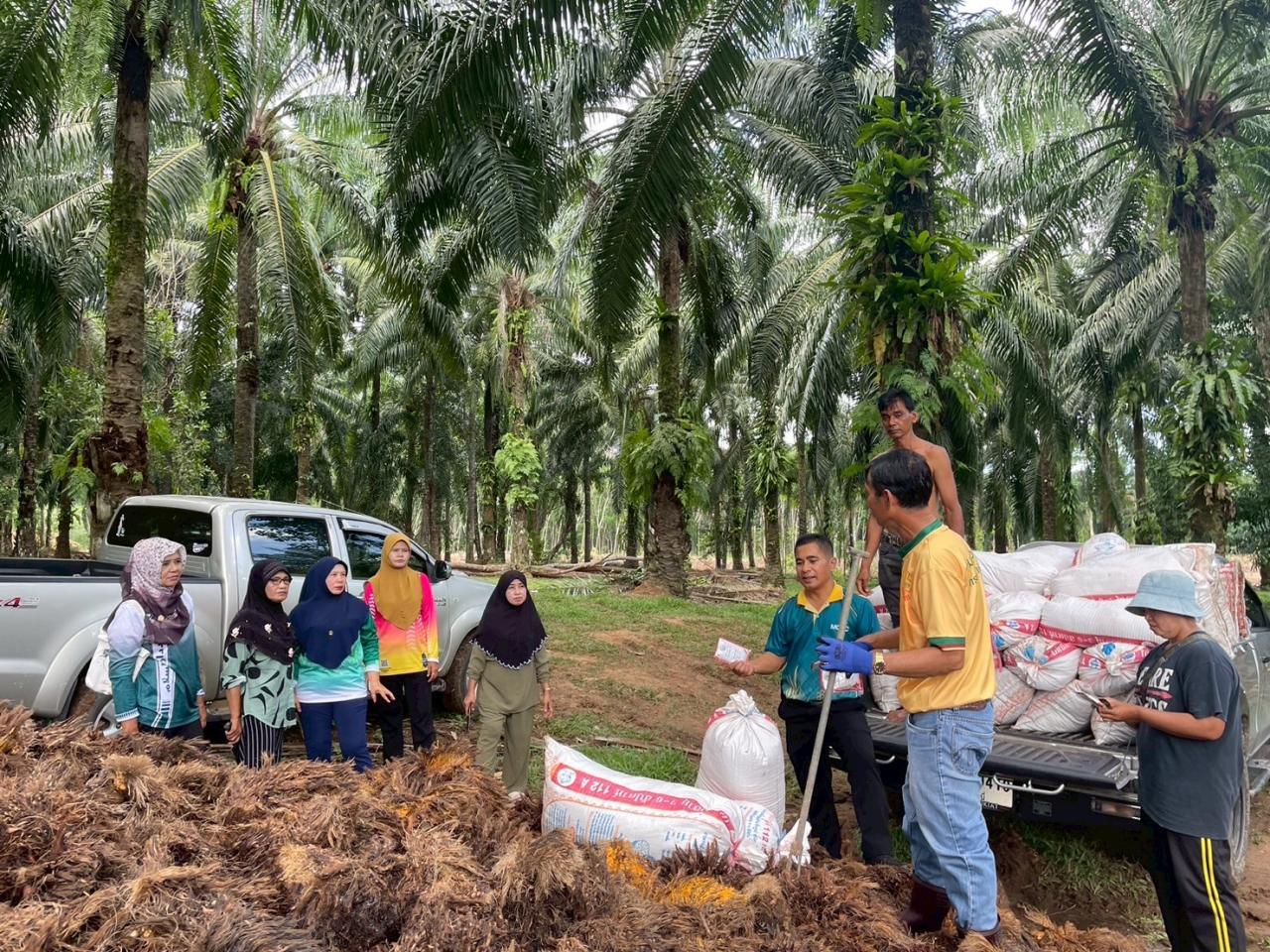 ภาพประกอบที่ 6
