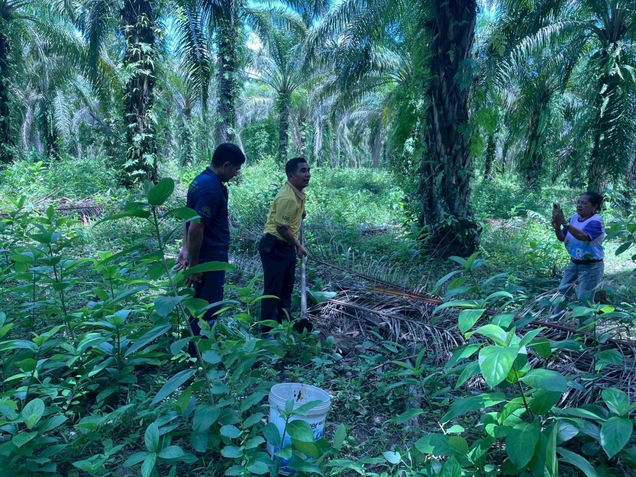 ภาพประกอบที่ 2