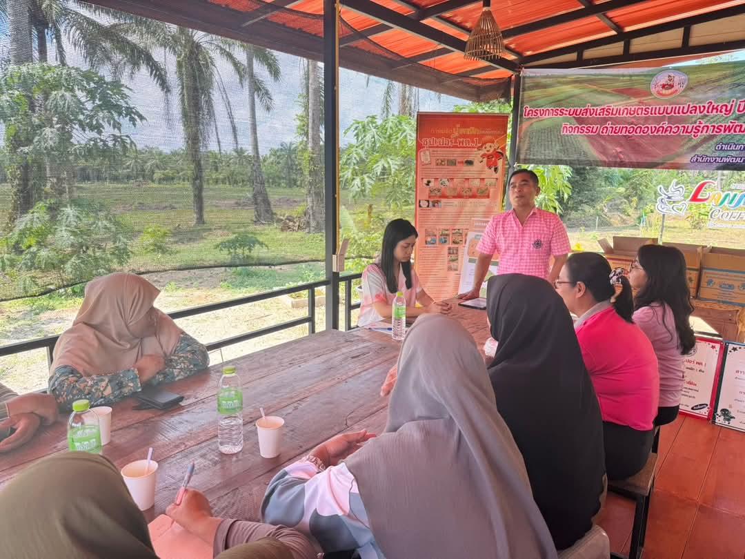 ภาพประกอบที่ 4