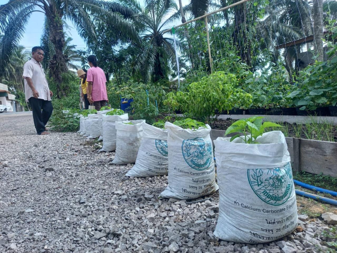 ภาพประกอบที่ 4