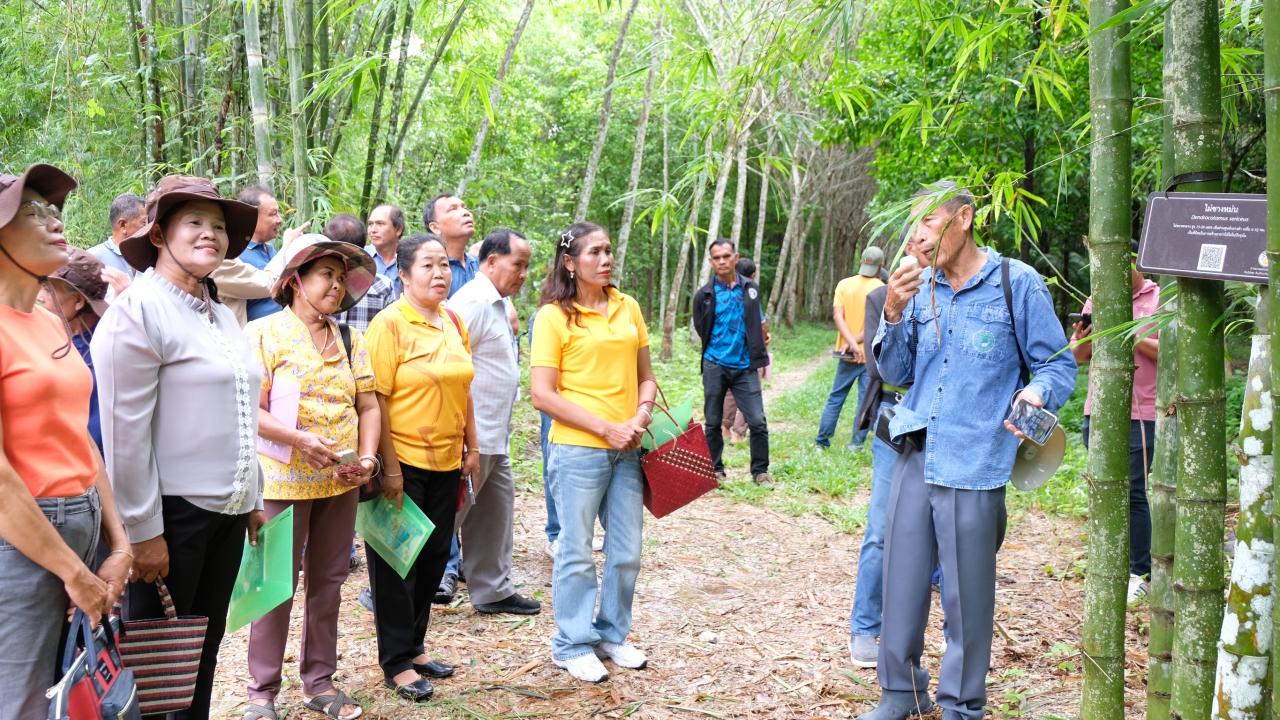 ภาพประกอบที่ 7