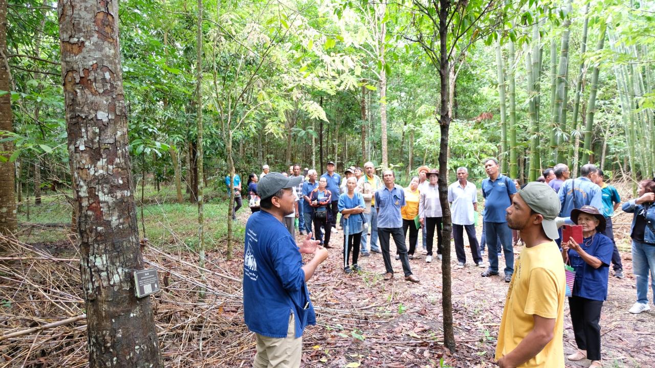 ภาพประกอบที่ 17