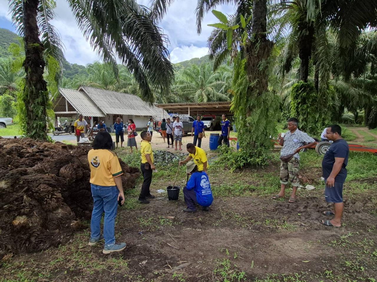 ภาพประกอบที่ 5