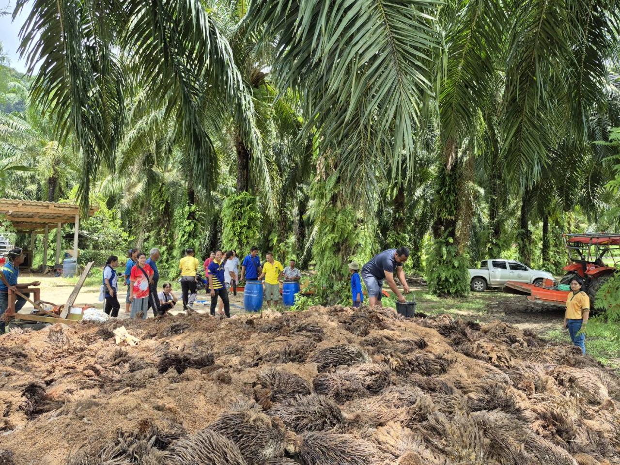 ภาพประกอบที่ 6