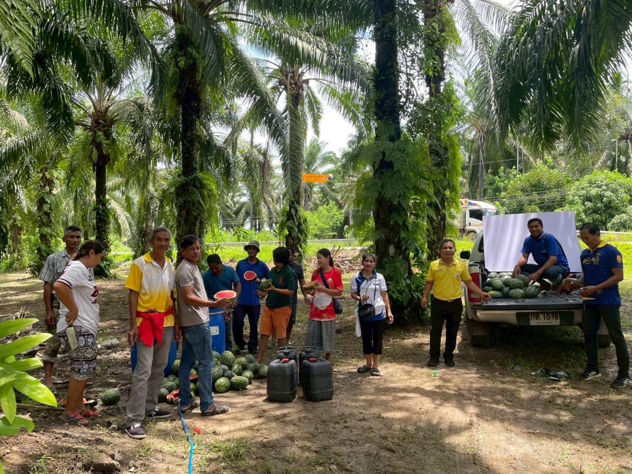 ภาพประกอบที่ 8