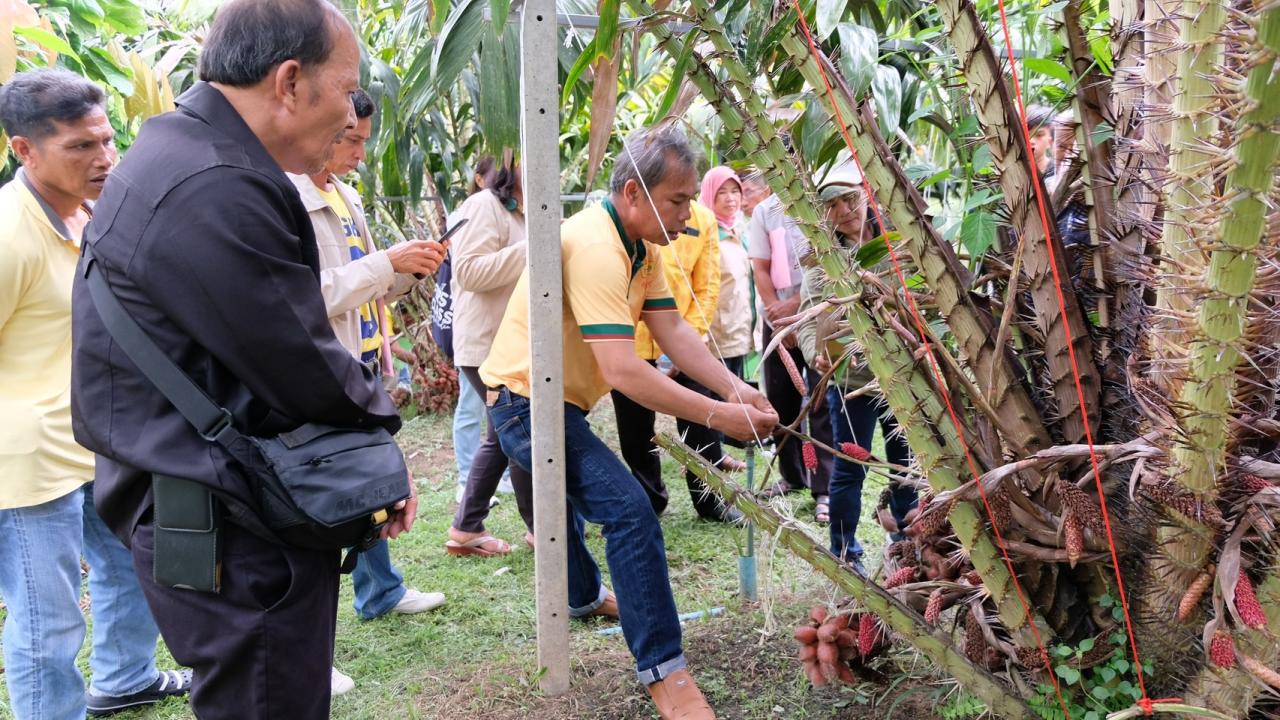 ภาพประกอบที่ 5