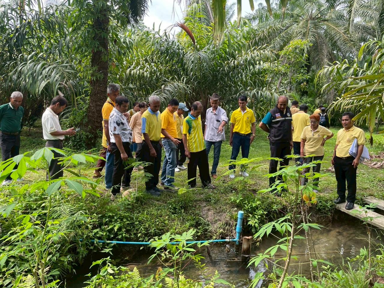 ภาพประกอบที่ 8