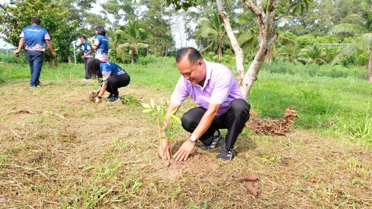 ภาพประกอบที่ 1