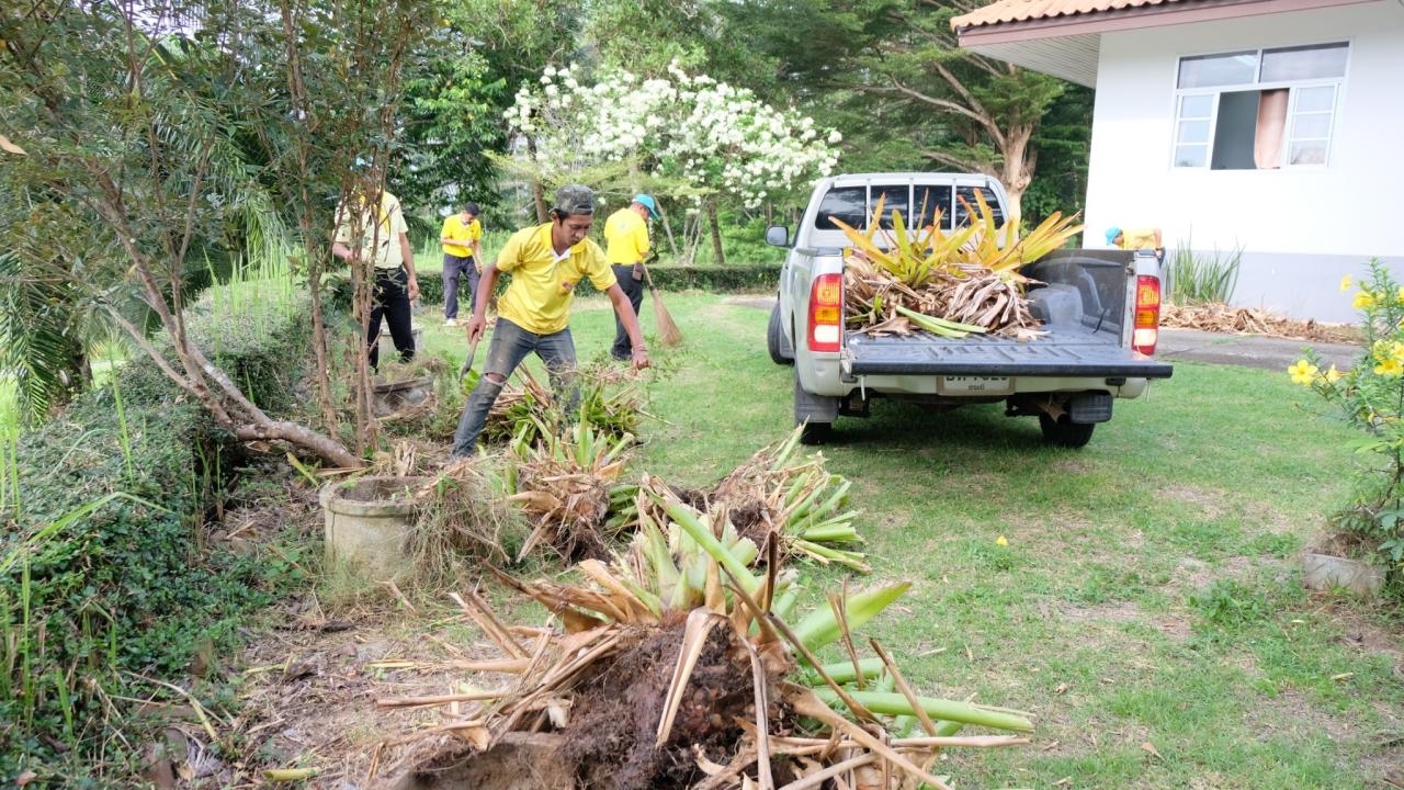 ภาพประกอบที่ 8