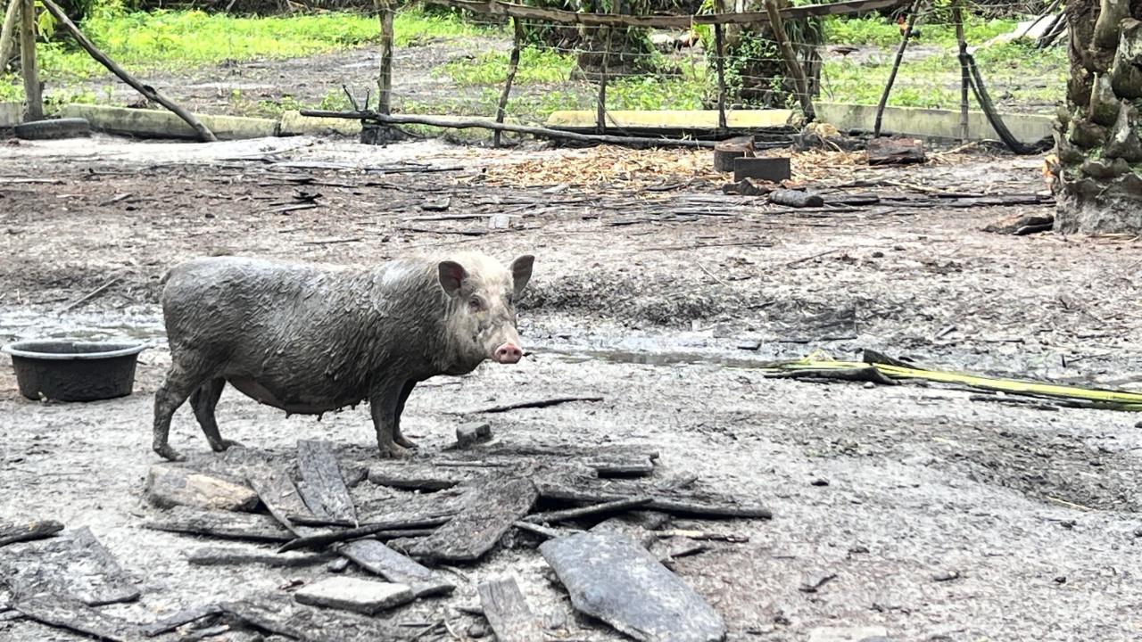 ภาพประกอบที่ 3