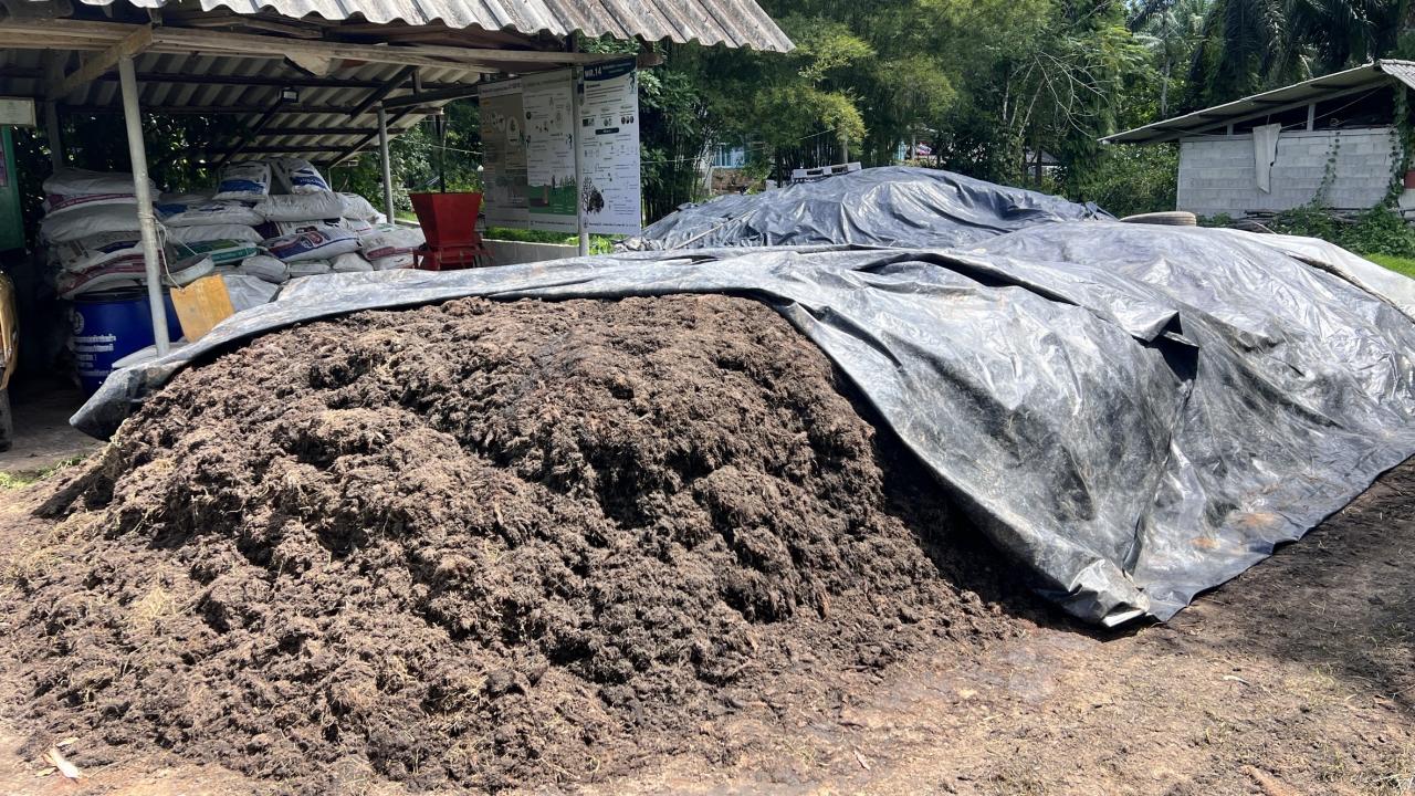 ภาพประกอบที่ 5