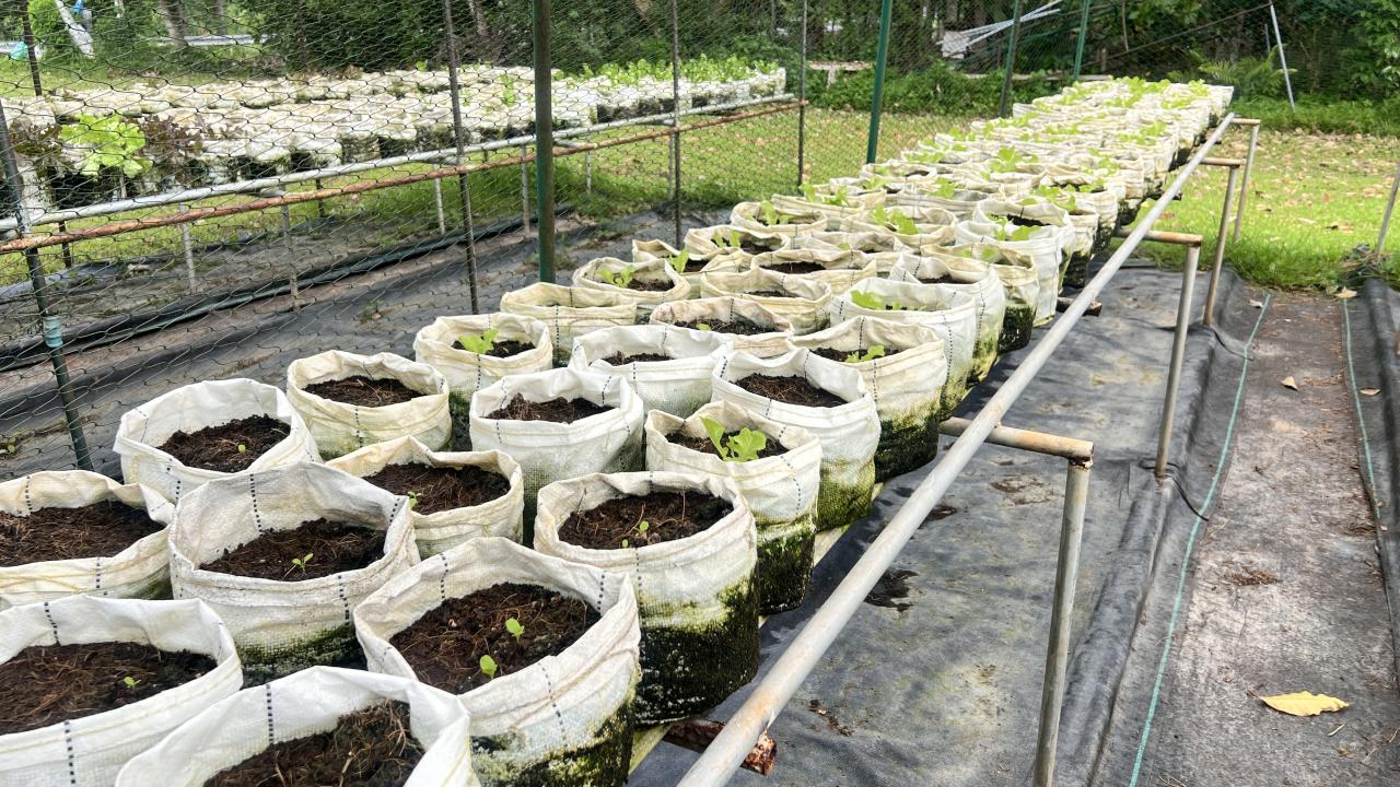 ภาพประกอบที่ 6