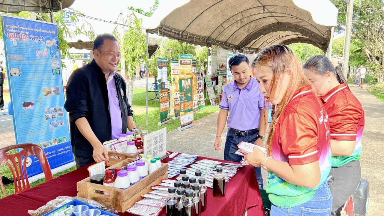 ภาพประกอบที่ 3